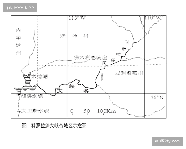 尼亚科替补发力,十人图尔库国际逼平塞那乔其